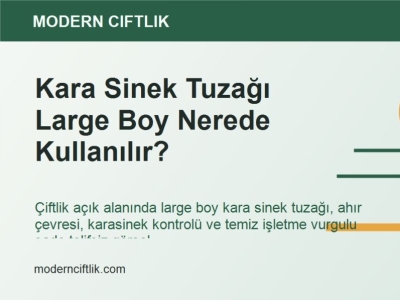 Kara Sinek Tuzağı Large Boy Nerede Kullanılır?