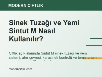 Sinek Tuzağı ve Yemi Sintut M Nasıl Kullanılır?