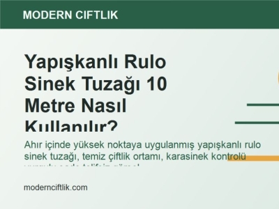 Yapışkanlı Rulo Sinek Tuzağı 10 Metre Nasıl Kullanılır?