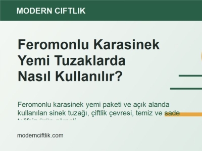 Feromonlu Karasinek Yemi Tuzaklarda Nasıl Kullanılır?
