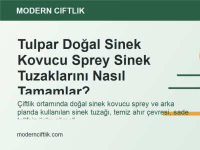 Tulpar Doğal Sinek Kovucu Sprey Sinek Tuzaklarını Nasıl Tamamlar?