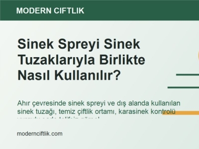 Sinek Spreyi Sinek Tuzaklarıyla Birlikte Nasıl Kullanılır?