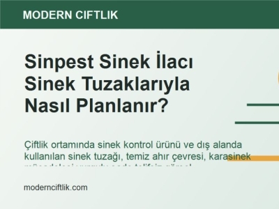 Sinpest Sinek İlacı Sinek Tuzaklarıyla Nasıl Planlanır?