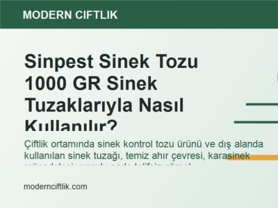 Sinpest Sinek Tozu 1000 GR Sinek Tuzaklarıyla Nasıl Kullanılır?