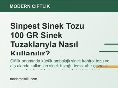 Sinpest Sinek Tozu 100 GR Sinek Tuzaklarıyla Nasıl Kullanılır?