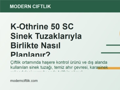 K-Othrine 50 SC Sinek Tuzaklarıyla Birlikte Nasıl Planlanır?