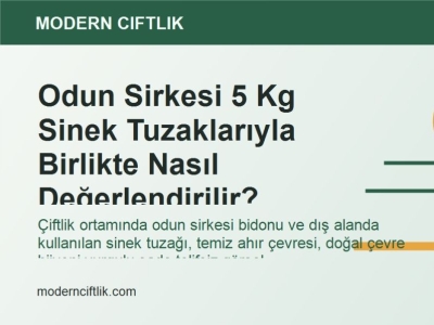 Odun Sirkesi 5 Kg Sinek Tuzaklarıyla Birlikte Nasıl Değerlendirilir?