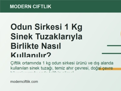Odun Sirkesi 1 Kg Sinek Tuzaklarıyla Birlikte Nasıl Kullanılır?
