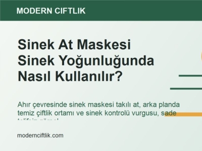 Sinek At Maskesi Sinek Yoğunluğunda Nasıl Kullanılır?