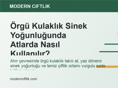 Örgü Kulaklık Sinek Yoğunluğunda Atlarda Nasıl Kullanılır?
