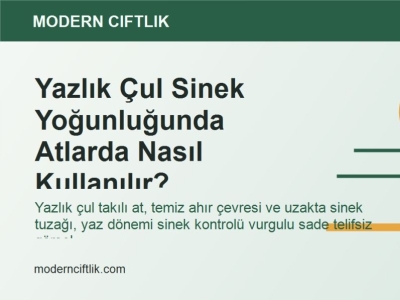 Yazlık Çul Sinek Yoğunluğunda Atlarda Nasıl Kullanılır?