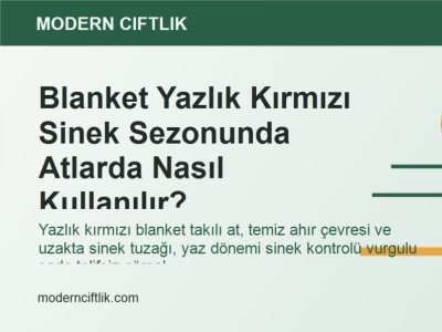 Blanket Yazlık Kırmızı Sinek Sezonunda Atlarda Nasıl Kullanılır?