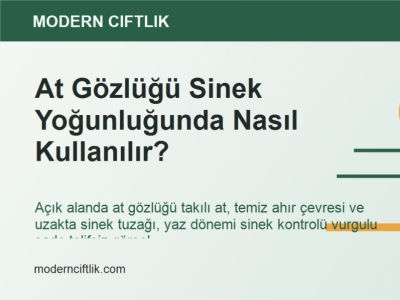 At Gözlüğü Sinek Yoğunluğunda Nasıl Kullanılır?
