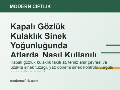Kapalı Gözlük Kulaklık Sinek Yoğunluğunda Atlarda Nasıl Kullanılır?