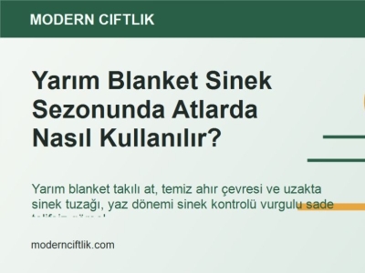 Yarım Blanket Sinek Sezonunda Atlarda Nasıl Kullanılır?