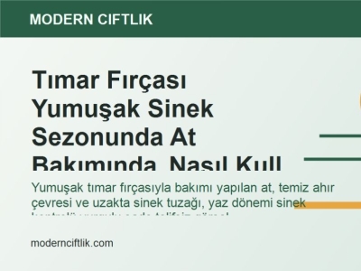 Tımar Fırçası Yumuşak Sinek Sezonunda At Bakımında Nasıl Kullanılır?