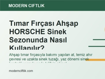 Tımar Fırçası Ahşap HORSCHE Sinek Sezonunda Nasıl Kullanılır?