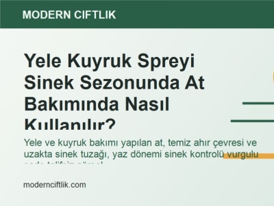 Yele Kuyruk Spreyi Sinek Sezonunda At Bakımında Nasıl Kullanılır?