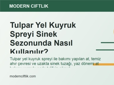 Tulpar Yel Kuyruk Spreyi Sinek Sezonunda Nasıl Kullanılır?