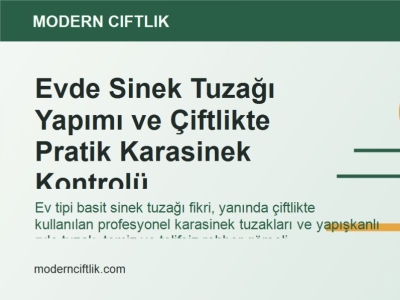 Evde Sinek Tuzağı Yapımı ve Çiftlikte Pratik Karasinek Kontrolü