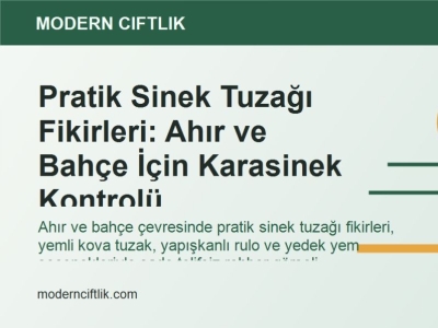 Pratik Sinek Tuzağı Fikirleri: Ahır ve Bahçe İçin Karasinek Kontrolü