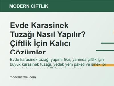 Evde Karasinek Tuzağı Nasıl Yapılır? Çiftlik İçin Kalıcı Çözümler