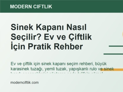 Sinek Kapanı Nasıl Seçilir? Ev ve Çiftlik İçin Pratik Rehber