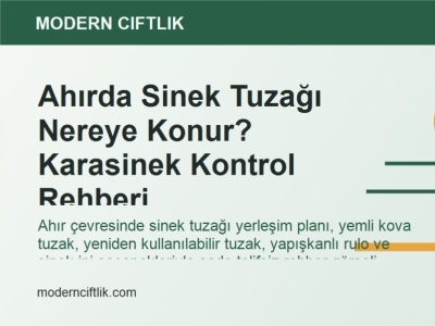 Ahırda Sinek Tuzağı Nereye Konur? Karasinek Kontrol Rehberi