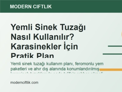 Yemli Sinek Tuzağı Nasıl Kullanılır? Karasinekler İçin Pratik Plan