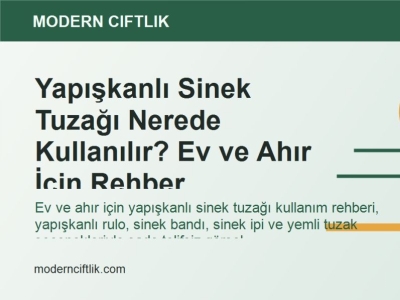 Yapışkanlı Sinek Tuzağı Nerede Kullanılır? Ev ve Ahır İçin Rehber