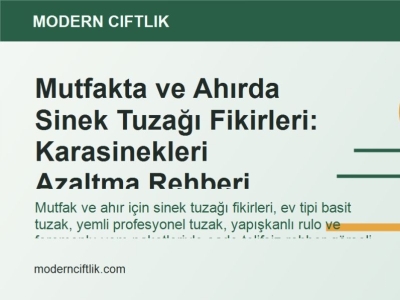 Mutfakta ve Ahırda Sinek Tuzağı Fikirleri: Karasinekleri Azaltma Rehberi