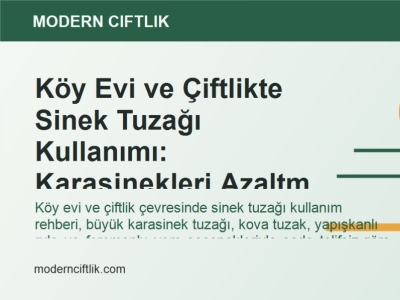 Köy Evi ve Çiftlikte Sinek Tuzağı Kullanımı: Karasinekleri Azaltma Yolları