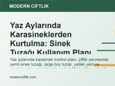 Yaz Aylarında Karasineklerden Kurtulma: Sinek Tuzağı Kullanım Planı