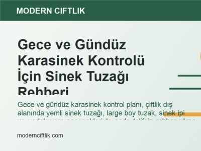 Gece ve Gündüz Karasinek Kontrolü İçin Sinek Tuzağı Rehberi
