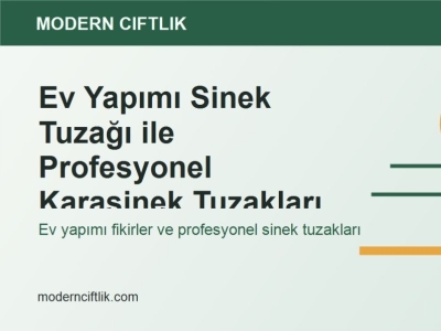 Ev Yapımı Sinek Tuzağı ile Profesyonel Karasinek Tuzakları Arasındaki Farklar