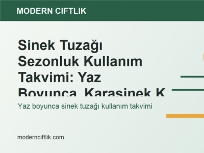 Sinek Tuzağı Sezonluk Kullanım Takvimi: Yaz Boyunca Karasinek Kontrolü