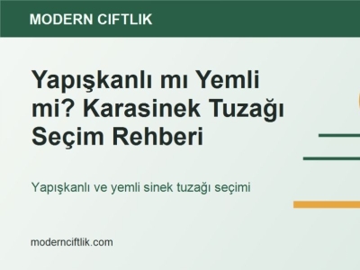 Yapışkanlı mı Yemli mi? Karasinek Tuzağı Seçim Rehberi