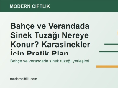 Bahçe ve Verandada Sinek Tuzağı Nereye Konur? Karasinekler İçin Pratik Plan