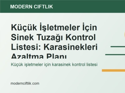 Küçük İşletmeler İçin Sinek Tuzağı Kontrol Listesi: Karasinekleri Azaltma Planı