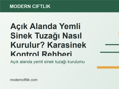 Açık Alanda Yemli Sinek Tuzağı Nasıl Kurulur? Karasinek Kontrol Rehberi