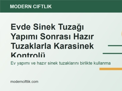 Evde Sinek Tuzağı Yapımı Sonrası Hazır Tuzaklarla Karasinek Kontrolü
