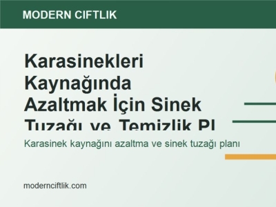 Karasinekleri Kaynağında Azaltmak İçin Sinek Tuzağı ve Temizlik Planı