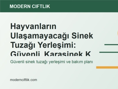 Hayvanların Ulaşamayacağı Sinek Tuzağı Yerleşimi: Güvenli Karasinek Kontrolü