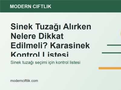 Sinek Tuzağı Alırken Nelere Dikkat Edilmeli? Karasinek Kontrol Listesi