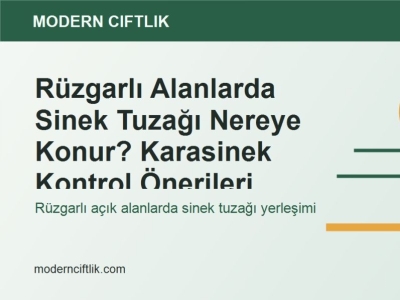 Rüzgarlı Alanlarda Sinek Tuzağı Nereye Konur? Karasinek Kontrol Önerileri