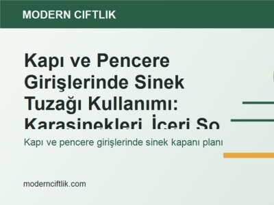 Kapı ve Pencere Girişlerinde Sinek Tuzağı Kullanımı: Karasinekleri İçeri Sokmama Planı
