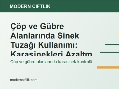 Çöp ve Gübre Alanlarında Sinek Tuzağı Kullanımı: Karasinekleri Azaltma Rehberi