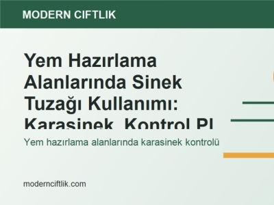Yem Hazırlama Alanlarında Sinek Tuzağı Kullanımı: Karasinek Kontrol Planı