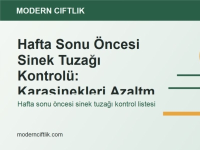 Hafta Sonu Öncesi Sinek Tuzağı Kontrolü: Karasinekleri Azaltma Listesi