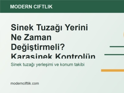 Sinek Tuzağı Yerini Ne Zaman Değiştirmeli? Karasinek Kontrolünde Pratik Takip